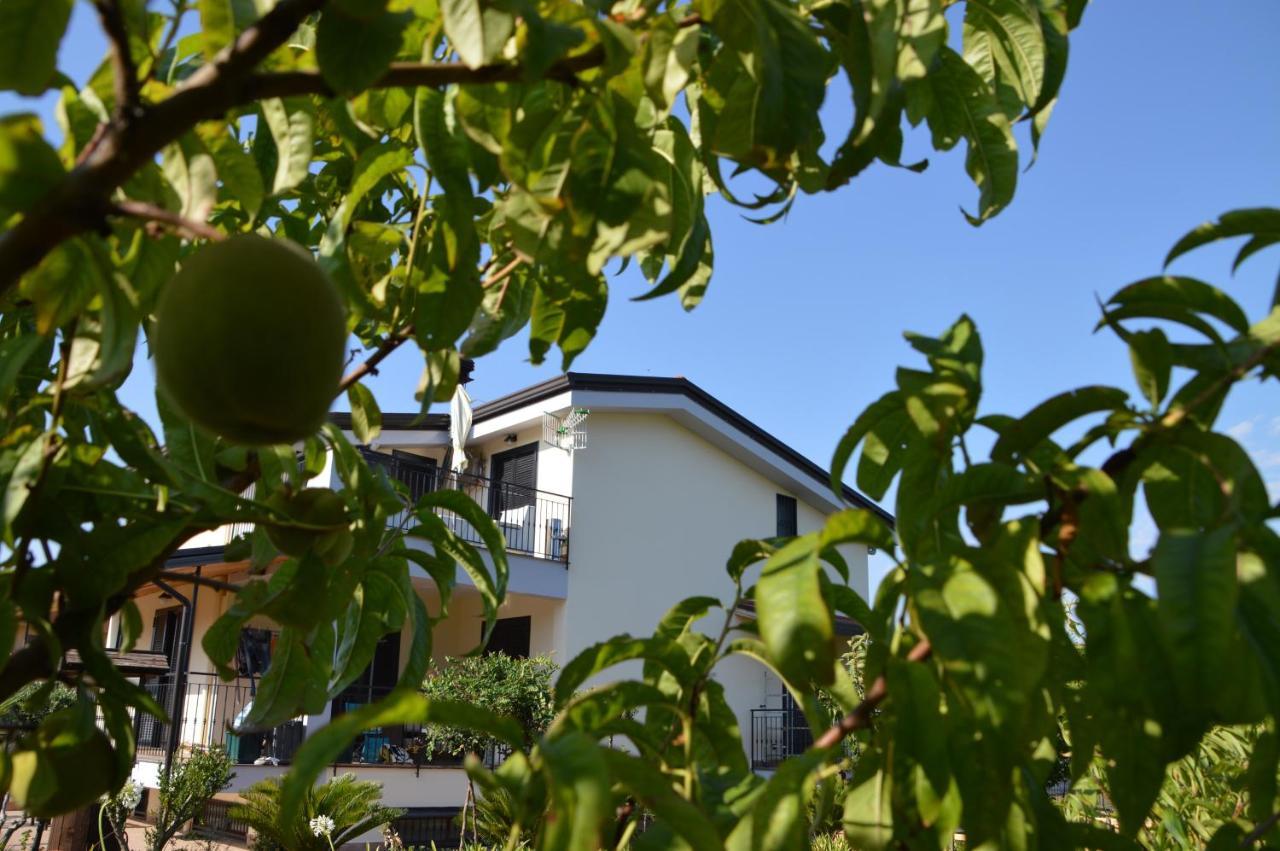 La Maison Di Sara Santa Maria La Carità Dış mekan fotoğraf